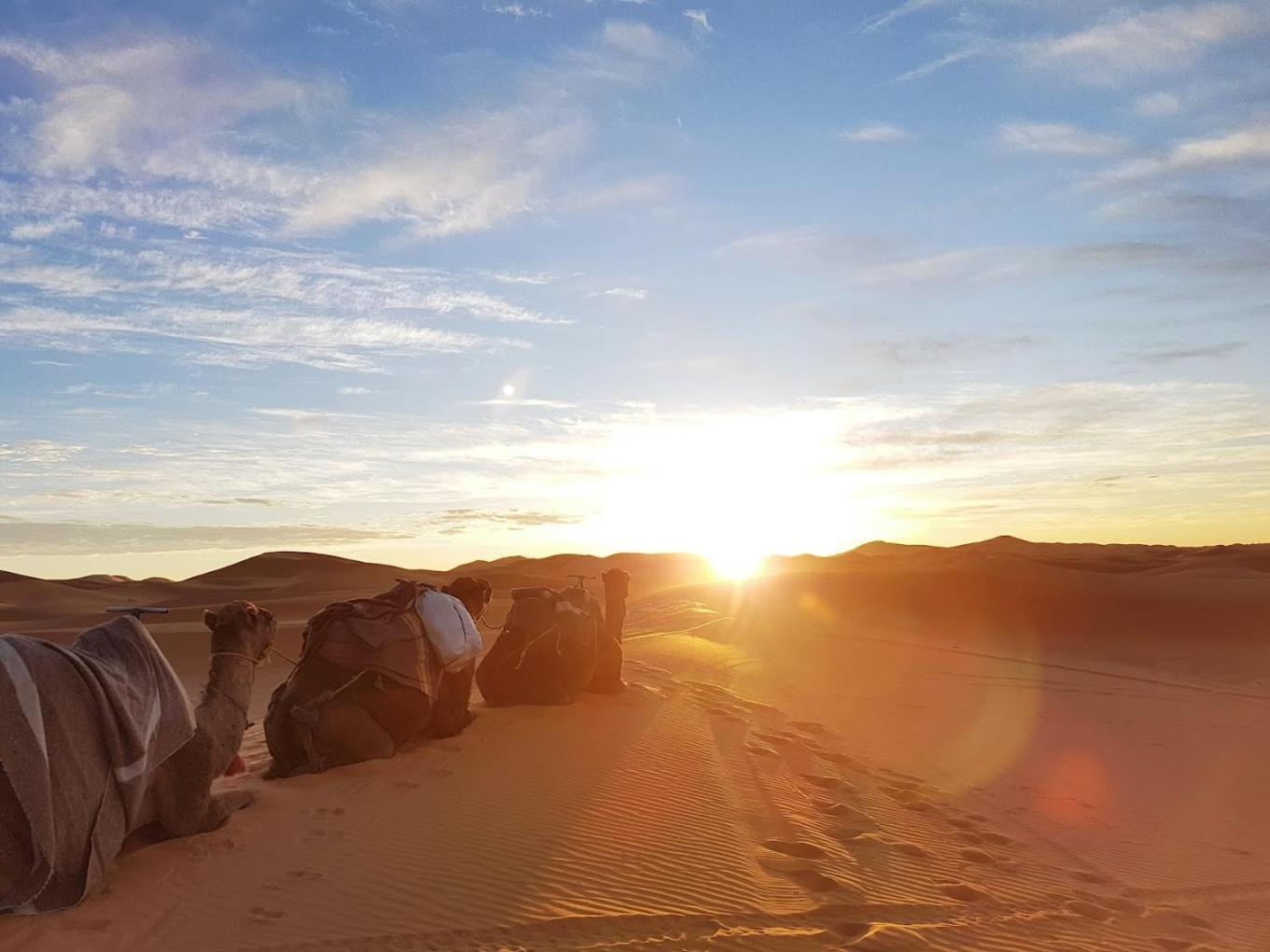 Les Roches Desert Camp Merzouga Ngoại thất bức ảnh